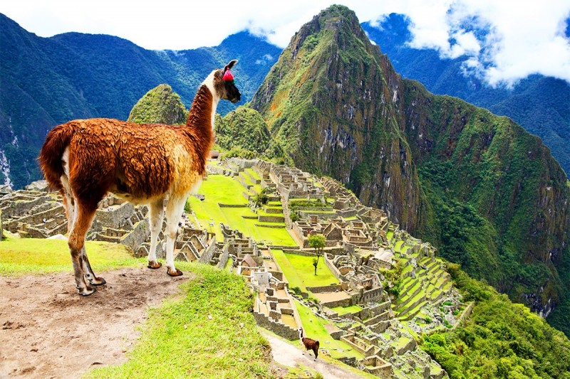 7-Day Lima and Cusco Tour with Overnight at Machu Picchu