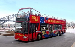 Big Bus Sydney And Bondi Hop-on Hop-off Tour