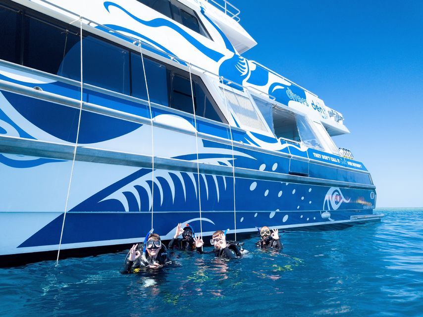 From Cairns: Luxury Great Barrier Reef Snorkeling & Diving